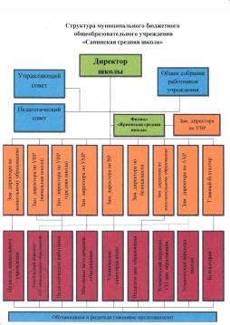 Структура муниципального бюджетного общеобразовательного учреждения "Савинская средняя школа"